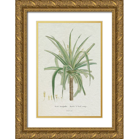 Redoute Succulent II Gold Ornate Wood Framed Art Print with Double Matting by Redoute, Pierre