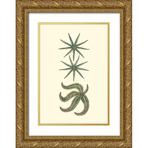 Custom Aquamarine Starfish II Gold Ornate Wood Framed Art Print with Double Matting by Vision Studio