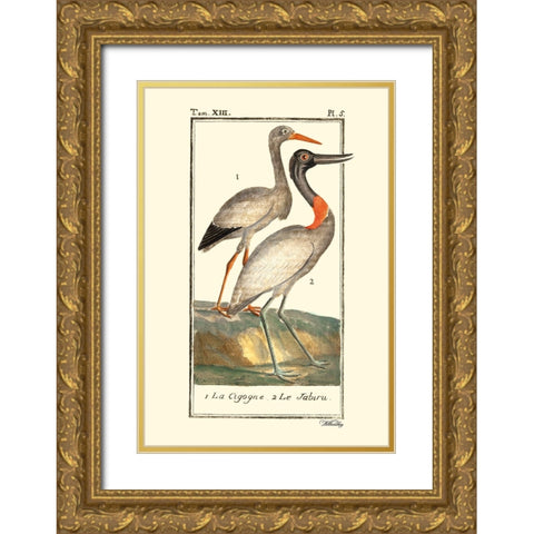 Custom Buffon Cranes And Herons I Gold Ornate Wood Framed Art Print with Double Matting by Buffon