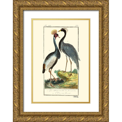 Custom Buffon Cranes And Herons II Gold Ornate Wood Framed Art Print with Double Matting by Buffon