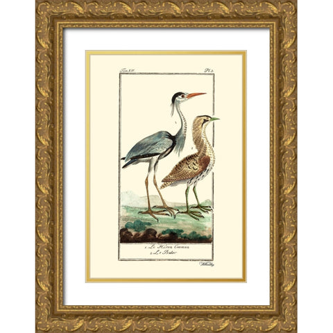 Custom Buffon Cranes And Herons III Gold Ornate Wood Framed Art Print with Double Matting by Buffon
