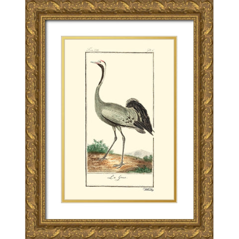 Custom Buffon Cranes And Herons IV Gold Ornate Wood Framed Art Print with Double Matting by Buffon