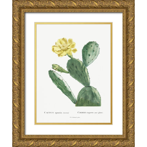 Redoute Cactus II Gold Ornate Wood Framed Art Print with Double Matting by Redoute, Pierre