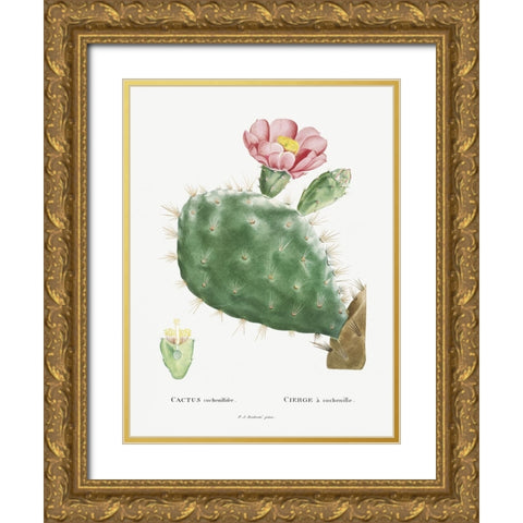 Redoute Cactus III Gold Ornate Wood Framed Art Print with Double Matting by Redoute, Pierre