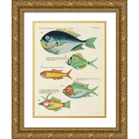 Renard Tropical Fish I Gold Ornate Wood Framed Art Print with Double Matting by Renard, Louis
