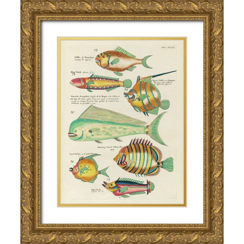 Renard Tropical Fish II Gold Ornate Wood Framed Art Print with Double Matting by Renard, Louis