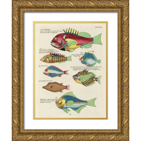 Renard Tropical Fish III Gold Ornate Wood Framed Art Print with Double Matting by Renard, Louis