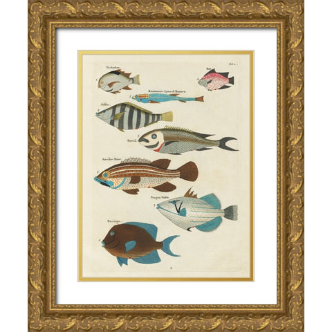 Renard Tropical Fish V Gold Ornate Wood Framed Art Print with Double Matting by Renard, Louis