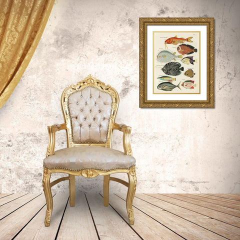 Renard Tropical Fish VI Gold Ornate Wood Framed Art Print with Double Matting by Renard, Louis