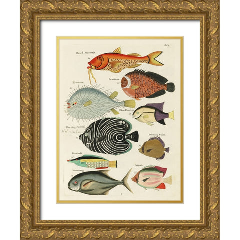 Renard Tropical Fish VI Gold Ornate Wood Framed Art Print with Double Matting by Renard, Louis