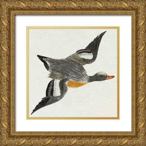 Flying Ducks I Gold Ornate Wood Framed Art Print with Double Matting by Teyler, Johan