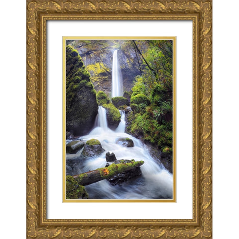 Rapid Waterfall I Gold Ornate Wood Framed Art Print with Double Matting by Drost, David