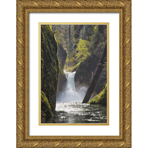 Rapid Waterfall II Gold Ornate Wood Framed Art Print with Double Matting by Drost, David