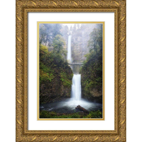 Rapid Waterfall III Gold Ornate Wood Framed Art Print with Double Matting by Drost, David