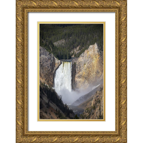 Rapid Waterfall IV Gold Ornate Wood Framed Art Print with Double Matting by Drost, David