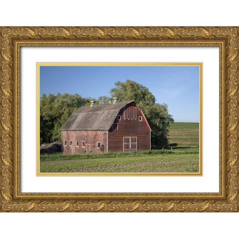Rustic Palouse Barn I Gold Ornate Wood Framed Art Print with Double Matting by Drost, David