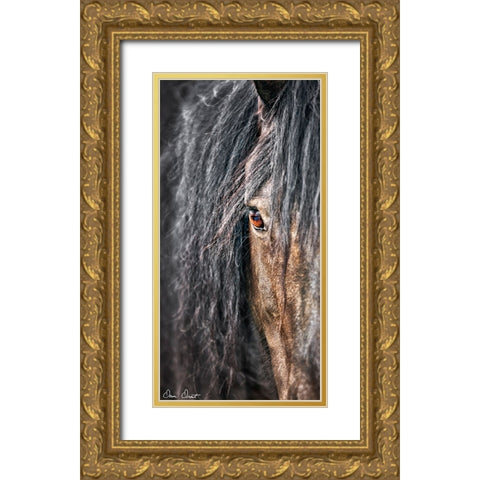 Grey Horse Mane Gold Ornate Wood Framed Art Print with Double Matting by Drost, David