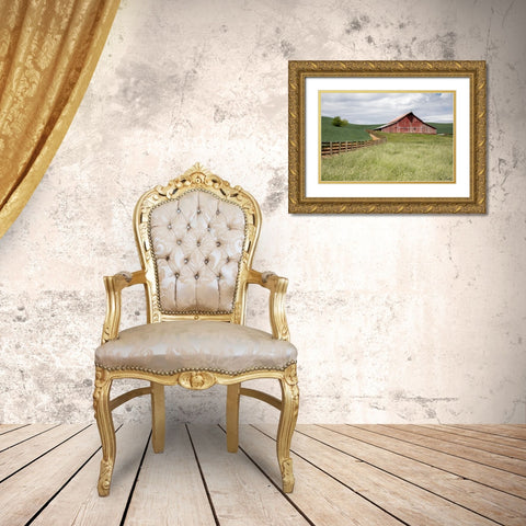 Barn by the Fence Gold Ornate Wood Framed Art Print with Double Matting by Drost, David