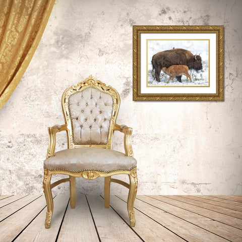 Mothers Milk Gold Ornate Wood Framed Art Print with Double Matting by Drost, David