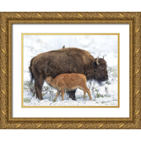 Mothers Milk Gold Ornate Wood Framed Art Print with Double Matting by Drost, David