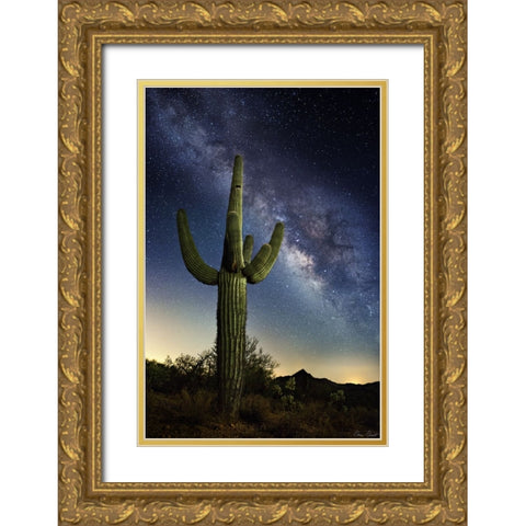 Desert Lights I Gold Ornate Wood Framed Art Print with Double Matting by Drost, David