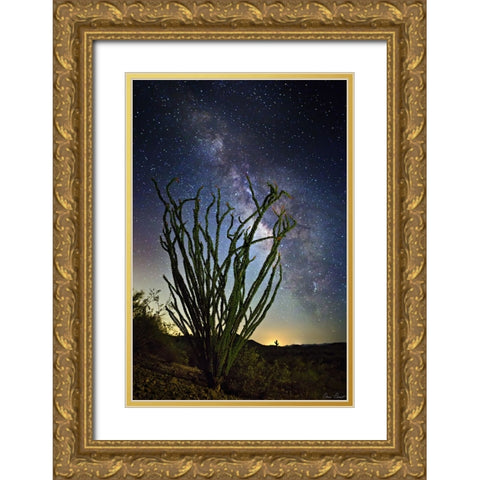 Desert Lights II Gold Ornate Wood Framed Art Print with Double Matting by Drost, David