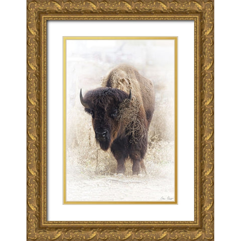 Standing Buffalo II Gold Ornate Wood Framed Art Print with Double Matting by Drost, David