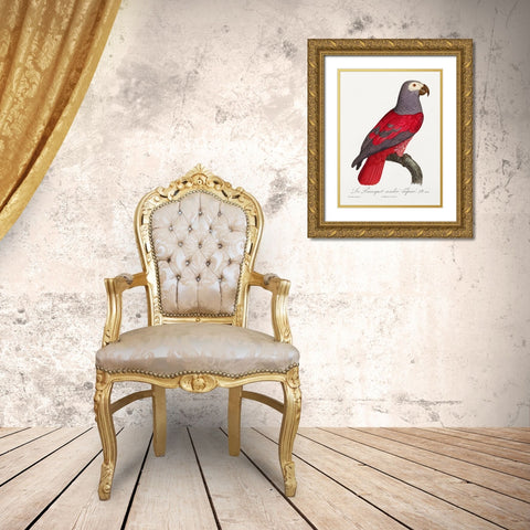 Levaillant Parrot XI Gold Ornate Wood Framed Art Print with Double Matting by Levaillant, Francois