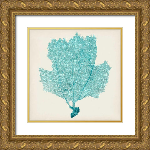 Sea Fan III Gold Ornate Wood Framed Art Print with Double Matting by Vision Studio