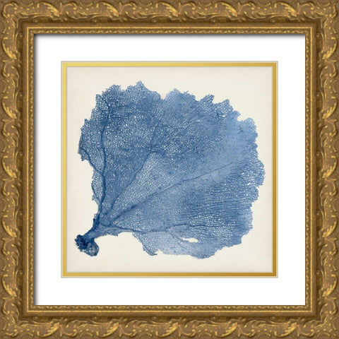 Sea Fan V Gold Ornate Wood Framed Art Print with Double Matting by Vision Studio