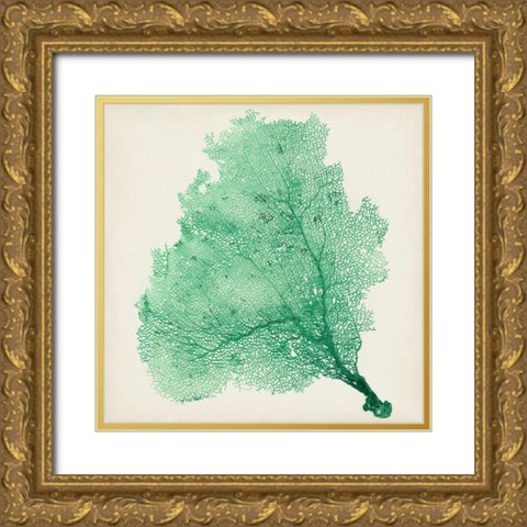Sea Fan VII Gold Ornate Wood Framed Art Print with Double Matting by Vision Studio