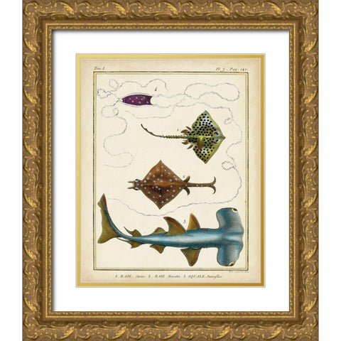 Antique Rays and Fish I Gold Ornate Wood Framed Art Print with Double Matting by Chevillet