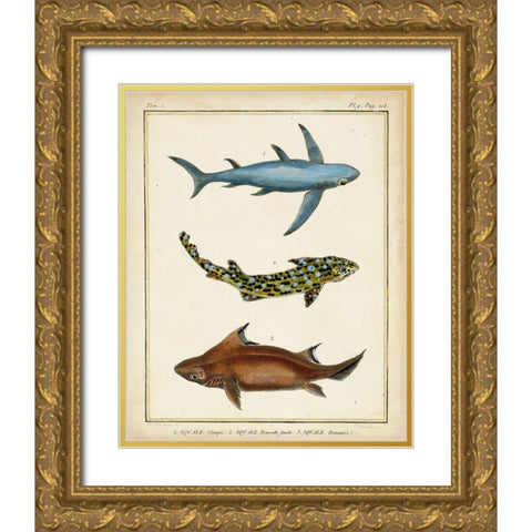 Antique Rays and Fish III Gold Ornate Wood Framed Art Print with Double Matting by Chevillet