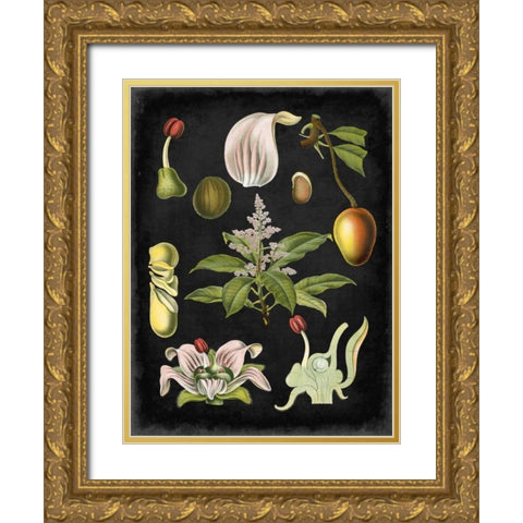 Study in Botany III Gold Ornate Wood Framed Art Print with Double Matting by Vision Studio