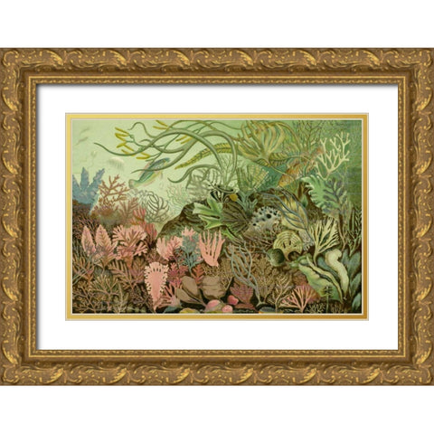 Seaweed Panorama Gold Ornate Wood Framed Art Print with Double Matting by Unknown