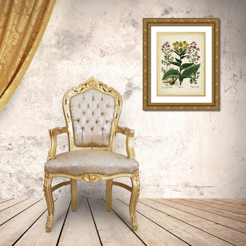 Besler Florilegium I Gold Ornate Wood Framed Art Print with Double Matting by Besler, Basilius