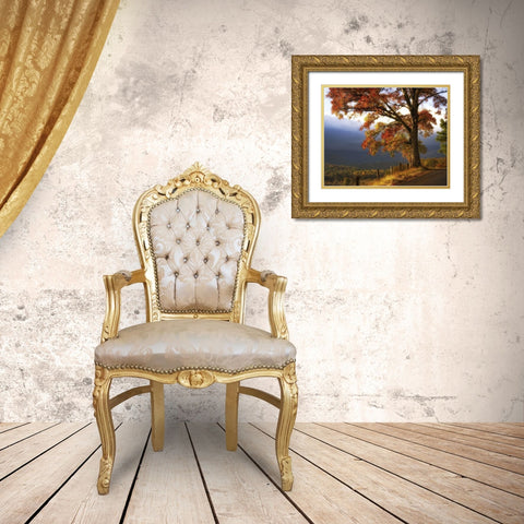 And Morning Comes Gold Ornate Wood Framed Art Print with Double Matting by Head, Danny