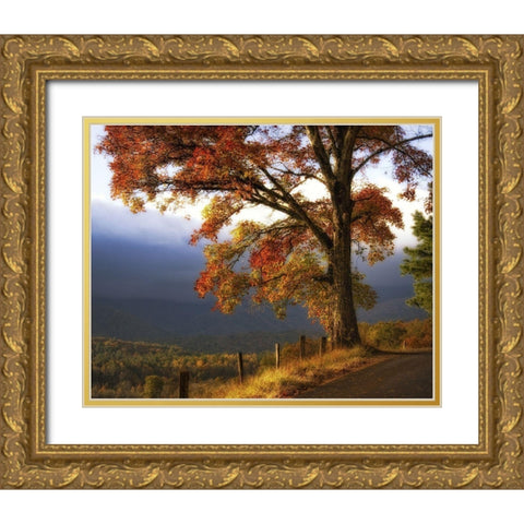 And Morning Comes Gold Ornate Wood Framed Art Print with Double Matting by Head, Danny