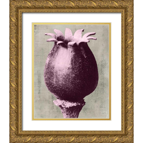 Blossfeldt Redeux I Gold Ornate Wood Framed Art Print with Double Matting by Vision Studio