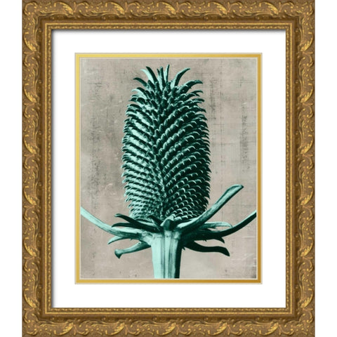 Blossfeldt Redeux V Gold Ornate Wood Framed Art Print with Double Matting by Vision Studio