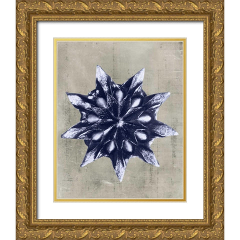 Blossfeldt Redeux VI Gold Ornate Wood Framed Art Print with Double Matting by Vision Studio