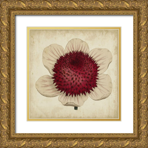 Pop Floral IV Gold Ornate Wood Framed Art Print with Double Matting by Vision Studio
