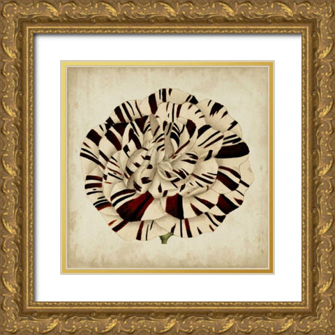 Pop Floral V Gold Ornate Wood Framed Art Print with Double Matting by Vision Studio