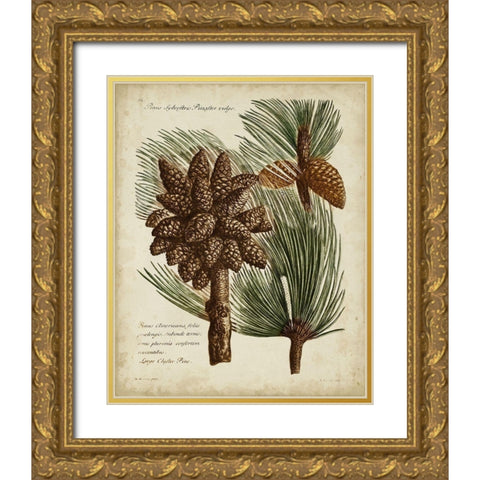 Antique Conifers I Gold Ornate Wood Framed Art Print with Double Matting by Fletcher, Henry