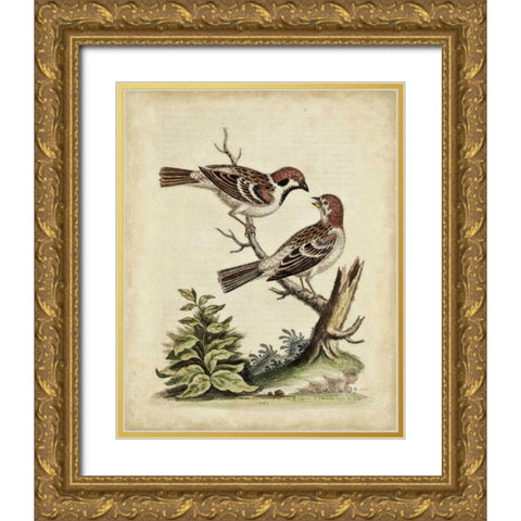 Edwards Bird Pairs VI Gold Ornate Wood Framed Art Print with Double Matting by Edwards, George