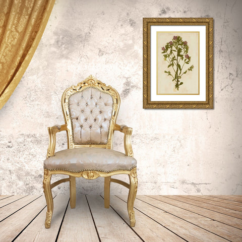 Botanical Impression II Gold Ornate Wood Framed Art Print with Double Matting by Unkown