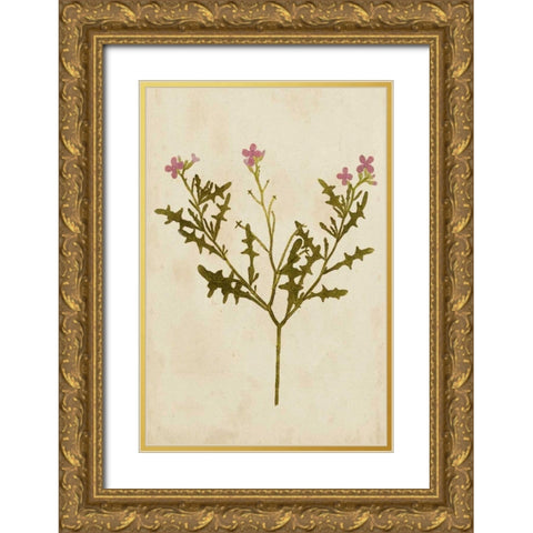 Botanical Impression IV Gold Ornate Wood Framed Art Print with Double Matting by Unkown