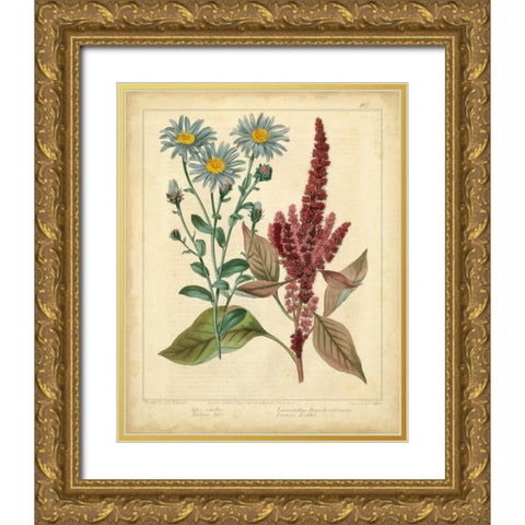 Garden Flora I Gold Ornate Wood Framed Art Print with Double Matting by Edwards, Sydenham