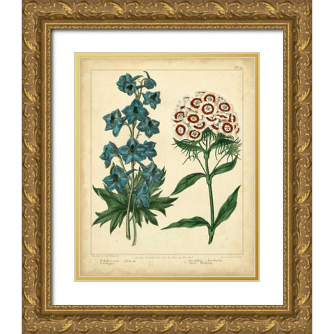 Garden Flora II Gold Ornate Wood Framed Art Print with Double Matting by Edwards, Sydenham