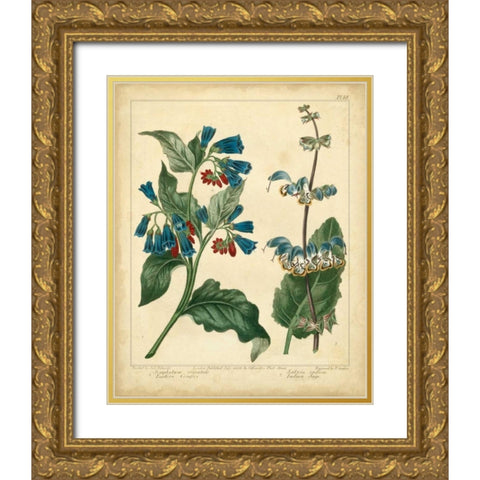 Garden Flora V Gold Ornate Wood Framed Art Print with Double Matting by Edwards, Sydenham